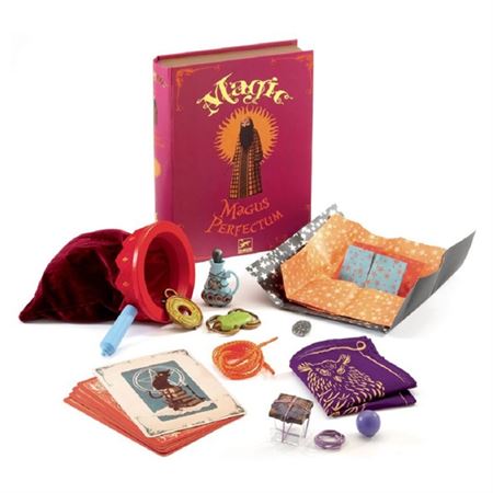 Immagine per la categoria giochi di prestigio per bambini